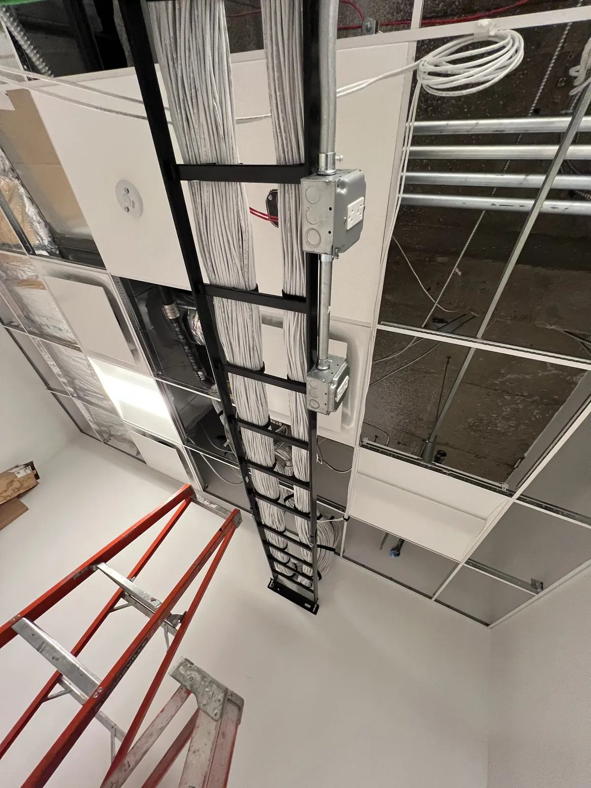 Overhead cable tray routed through drop ceiling with bundled runs to IDF